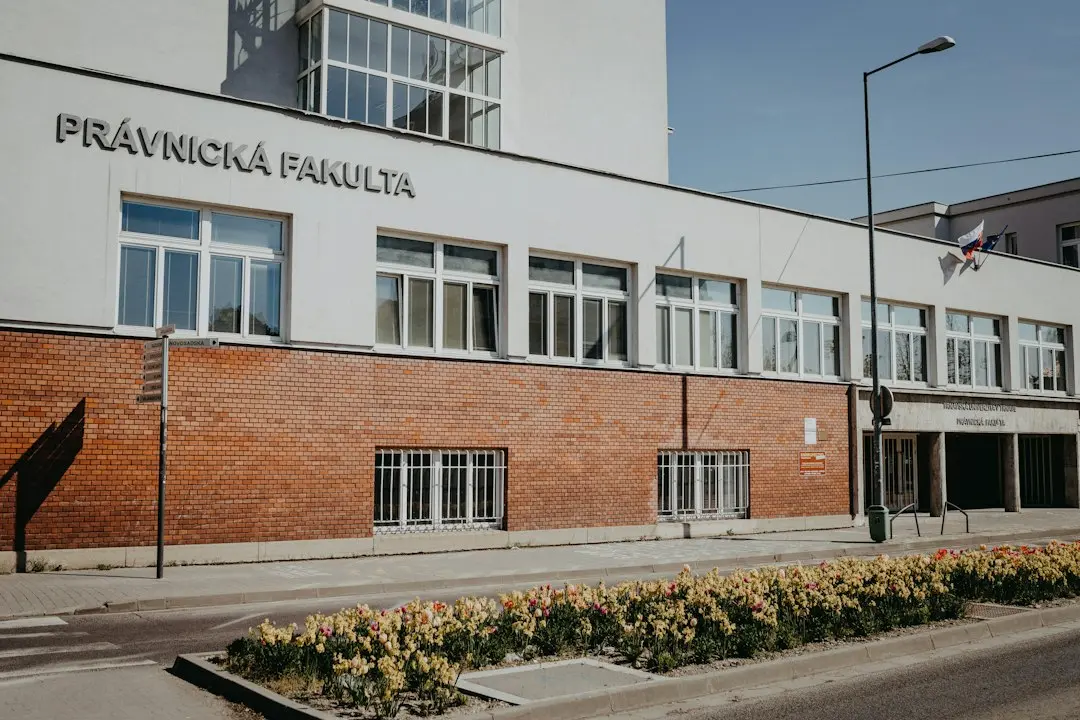 Panica pe piață: investițiile în IA sub semnul întrebării