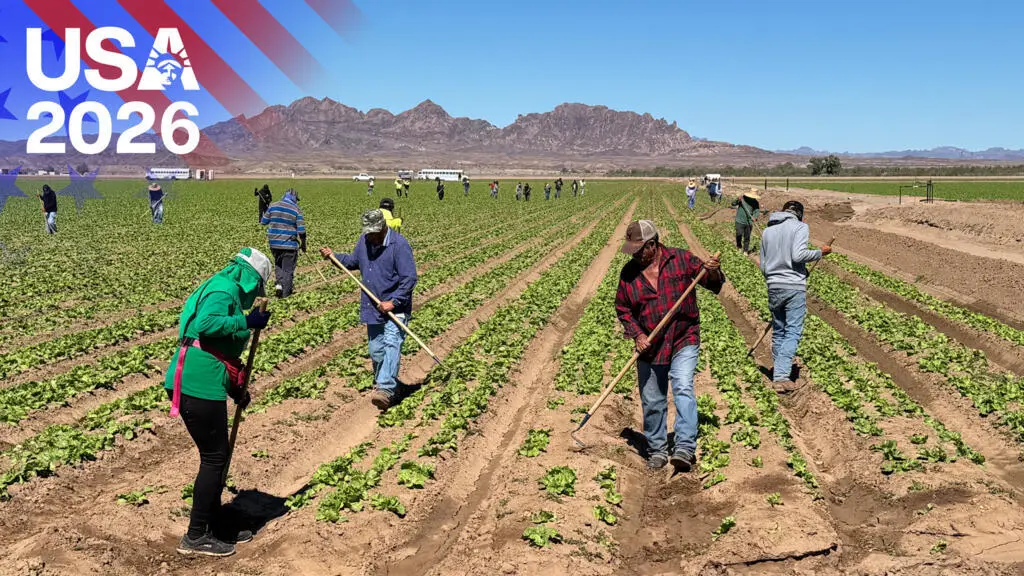 Agricultorii cer mai mulți migranți înainte de alegerile din 2026