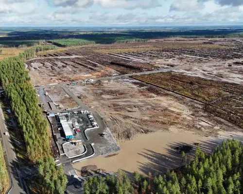 Politiștii din Finlanda deschid dosar penal pentru defrișarea Google