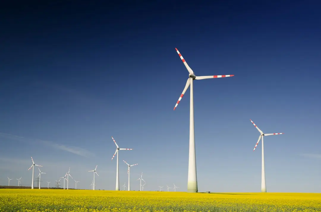 Turbinele eoliene ucid milioane de șoimuri: o criză ecologică ascunsă